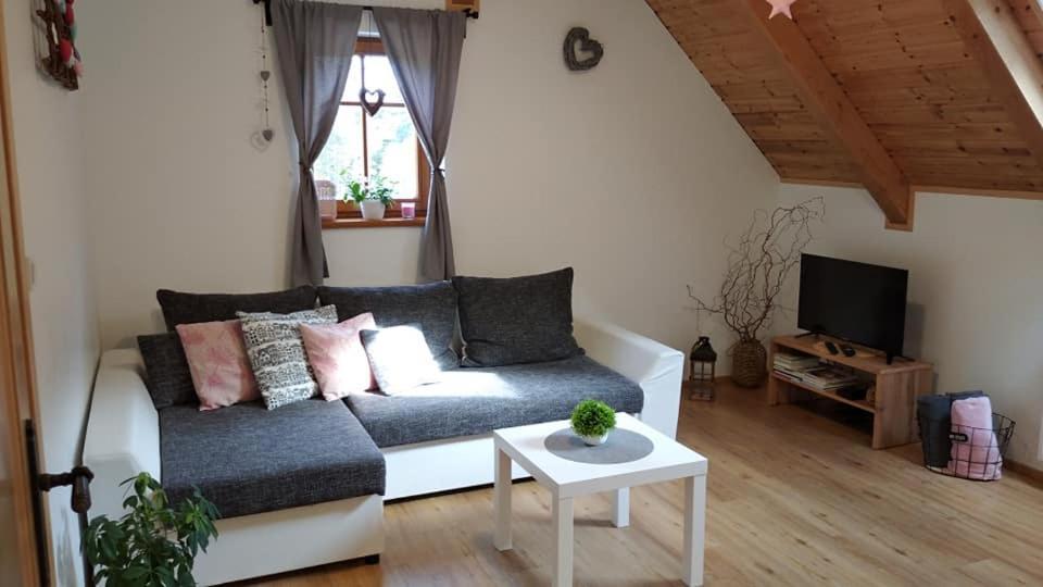 Apartmany U Vlcich Jam Petrowitz Екстериор снимка