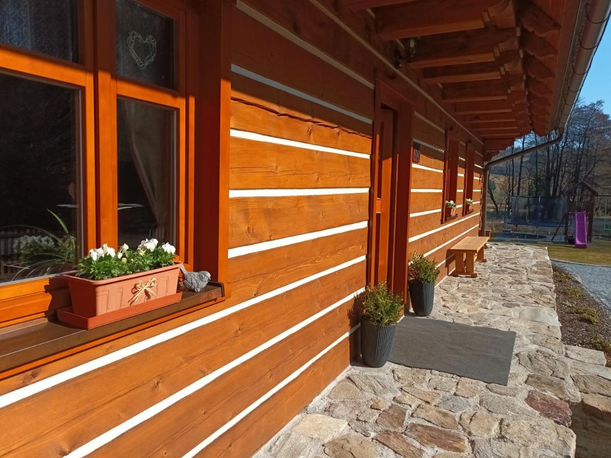 Apartmany U Vlcich Jam Petrowitz Екстериор снимка