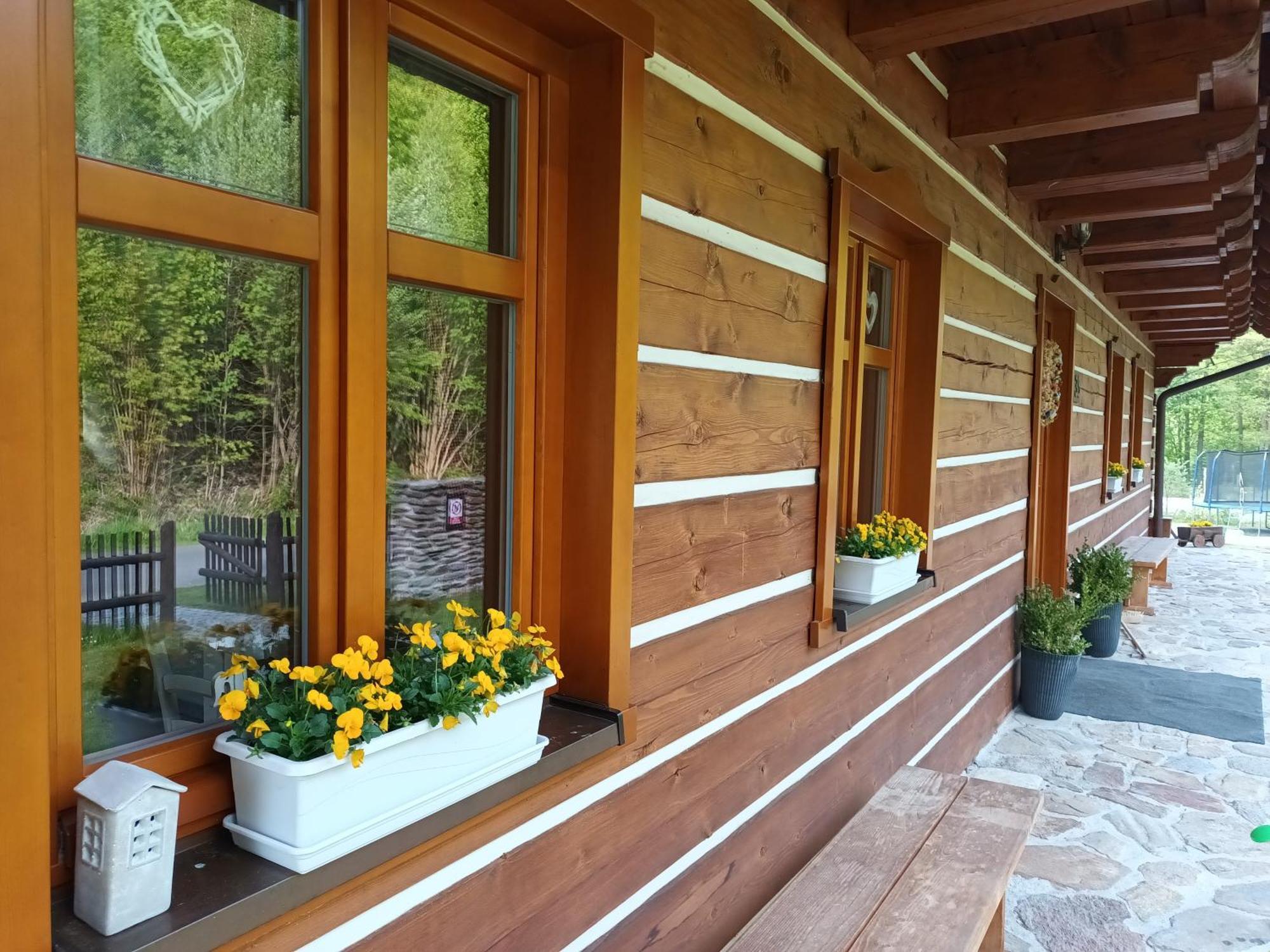 Apartmany U Vlcich Jam Petrowitz Екстериор снимка